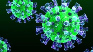 Фото - Китайские врачи рассказали о симптомах коронавируса, вызывающего смертельную пневмонию