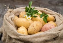 Фото - Гастроэнтеролог предупредил о смертельной опасности картофеля